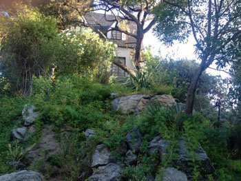 Locating Utilities For Homeowner in Beverly Hills, California
