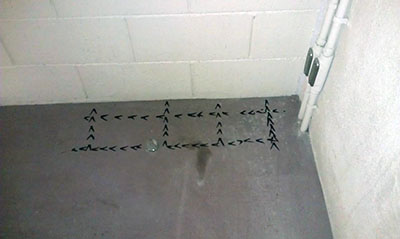Rebar Locating Project - Reno, Nevada