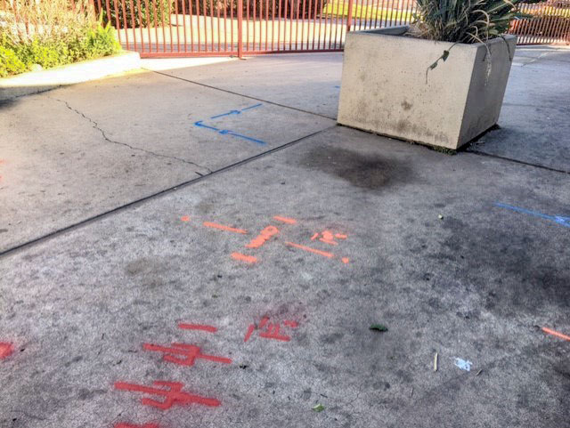 Utility Lines Located by GPRS Before Digging - San Diego, CA