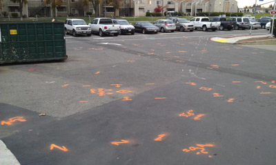 Utility Mapping Job - Sacramento, California 
